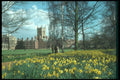 298059 Flowers, Cambridge A4 Photo Print