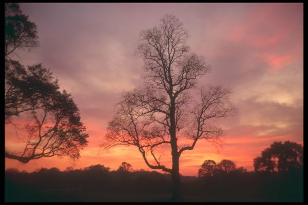 298096 Winter Sunset, Kent A4 Photo Print