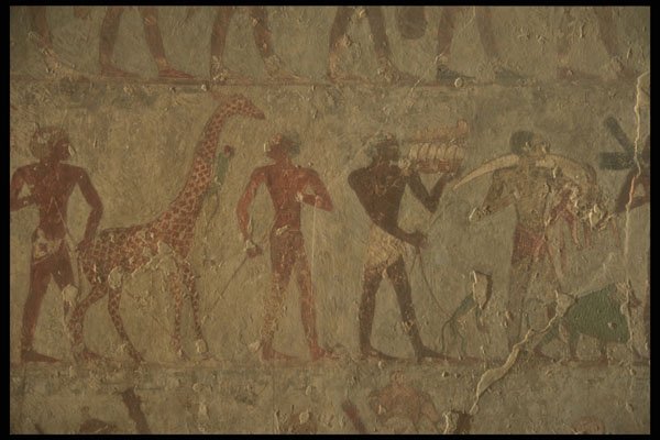 299004 Tomb Of Nobles A4 Photo Print