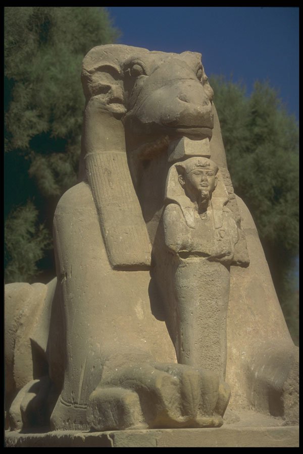 299007 Luxor, Thebes A4 Photo Print
