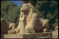 299011 Luxor, Thebes A4 Photo Print