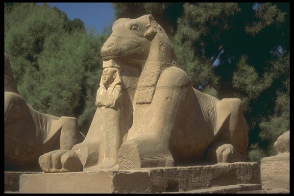 299011 Luxor, Thebes A4 Photo Print