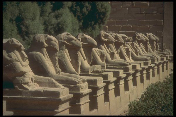 299025 Luxor, Thebes, Sphinxes A4 Photo Print