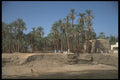 299045 Rural Village A4 Photo Print