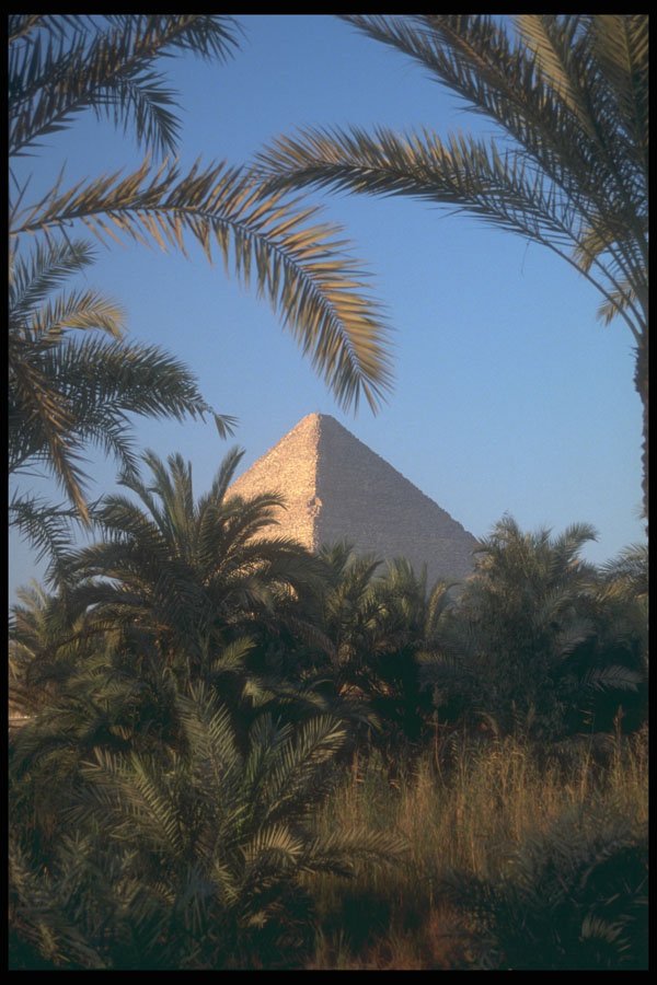 299058 Great Pyramid Of Cheops A4 Photo Print