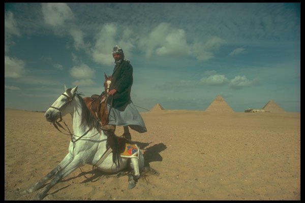 299059 Bedouin On An Arabian Horse A4 Photo Print