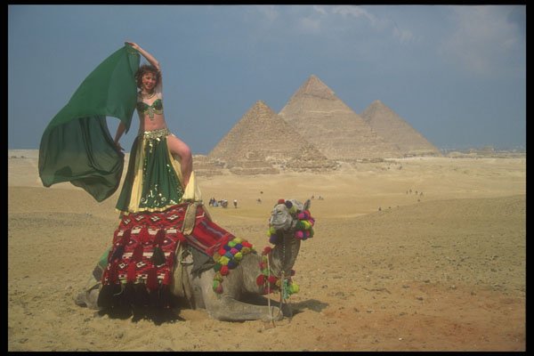 299072 Giza, Camels And Great Pyramids A4 Photo Print