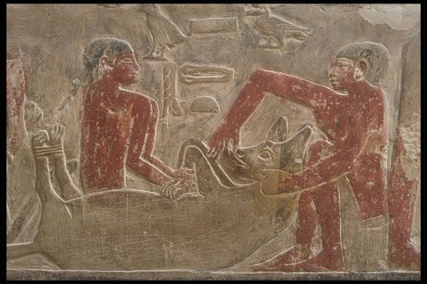 299073 Saqqara Memphis A4 Photo Print