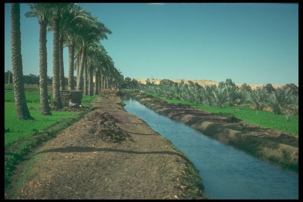 299075 Nile Delta, Irrigation Canal A4 Photo Print