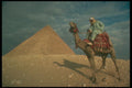 299086 Giza, Guide On Camel A4 Photo Print