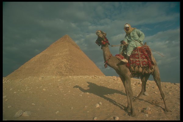 299086 Giza, Guide On Camel A4 Photo Print