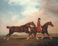 2saddleh Art A4 Photo Print