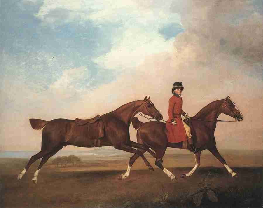 2saddleh Art A4 Photo Print
