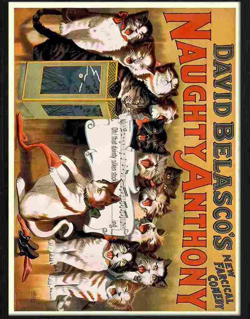 3 naughty anthony cats Advert A4 Photo Print