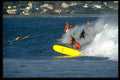 300000 Afternoon crowd, Malibu, California A4 Photo Print