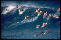 300016 Pipeline, crowded line up, Oahu, Hawaii A4 Photo Print
