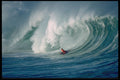 300081 Shorebreak Boogie Boarder, Waimea Bay A4 Photo Print