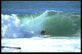 300099 Reef break, bottom turn, La Jolla, California A4 Photo Print