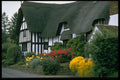 301085 Thatched Cottage At Great Comberton A4 Photo Print