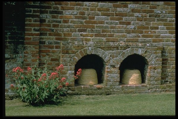 301098 Boles Let Into The Walls For Bee Skips, Packwood House A4 Photo Print