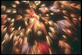 303015 Beijing, China A4 Photo Print