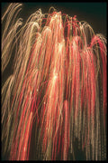303065 Tokyo, Japan A4 Photo Print