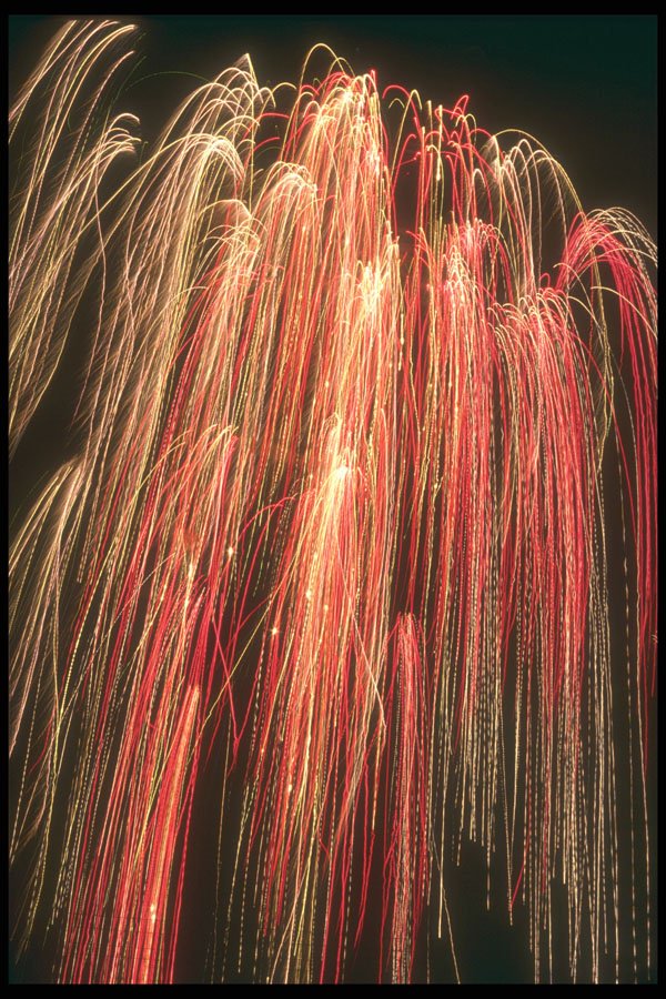 303065 Tokyo, Japan A4 Photo Print
