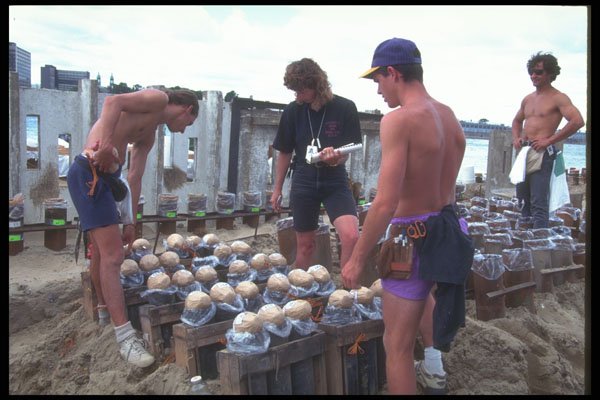 303099 Technicians Prepare Multiple Aerial Bombs A4 Photo Print
