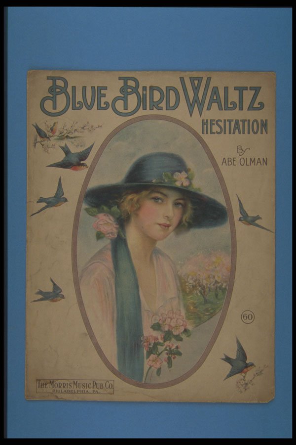 305009 Blue Bird Waltz Hesitation, Copyright 1914 A4 Photo Print