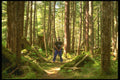309010 Misty Fjords National Monument A4 Photo Print