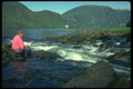 309021 Painting At Punchbowl Cove A4 Photo Print