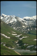 309054 Denali Park A4 Photo Print