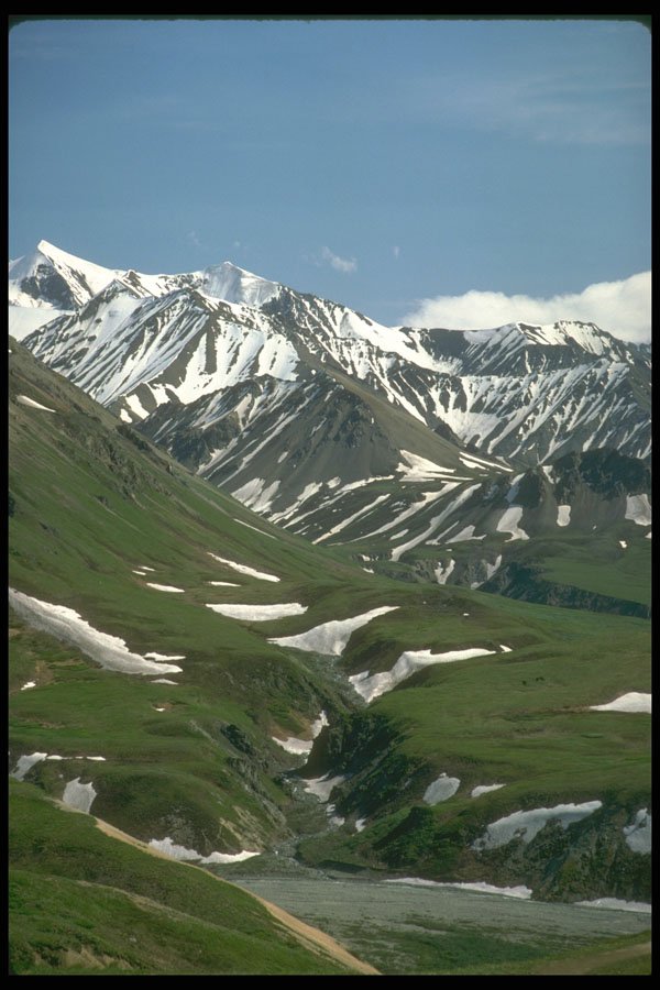 309054 Denali Park A4 Photo Print