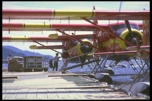 309065 Beaver Aircraft A4 Photo Print