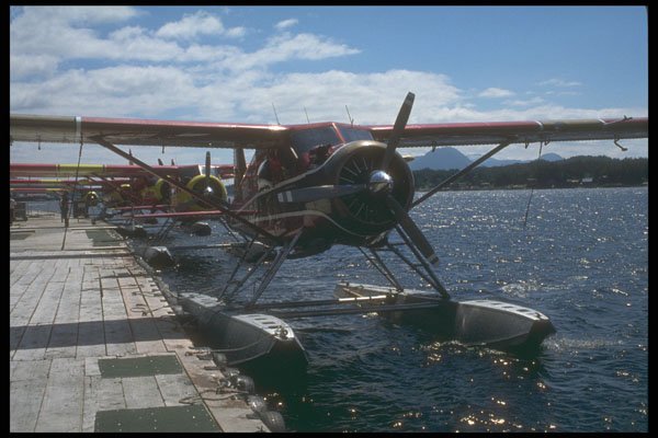 309081 Beaver Aircraft A4 Photo Print