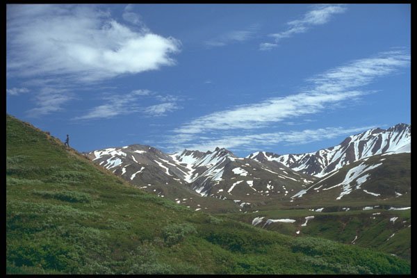 309087 Denali National Park A4 Photo Print