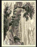 31 01 greenwich park one tree hill 1840 Advert A4 Photo Print