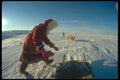 310001 Inuk Girl With Dog Team, Pelly Bay A4 Photo Print