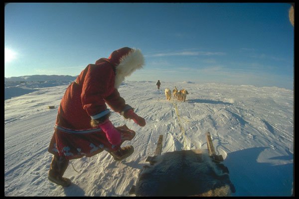 310001 Inuk Girl With Dog Team, Pelly Bay A4 Photo Print