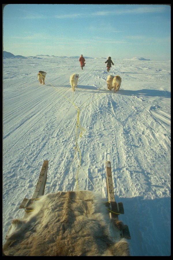 310002 Dog Team And Komatik, Pelly Bay A4 Photo Print
