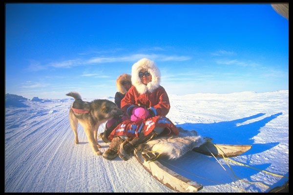 310004 Inuit Girls With Their Team, Pelly Bay A4 Photo Print