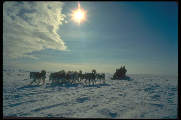 310006 Inuit Girls With Their Team, Pelly Bay A4 Photo Print