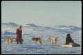 310007 Inuit Girls With Their Team, Pelly Bay A4 Photo Print