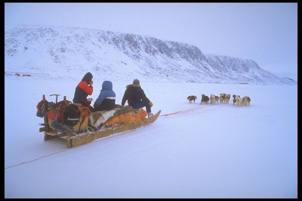 310008 Sled Dog Tour, South Baffin Island A4 Photo Print