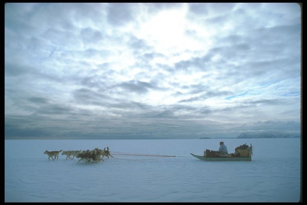 310009 Sled Dog Tour, Cumberland Sound A4 Photo Print