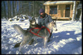 310016 Dog Sledding, Mont Ste Marie, Quebec A4 Photo Print