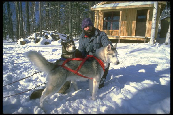 310016 Dog Sledding, Mont Ste Marie, Quebec A4 Photo Print