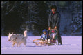 310019 Dog Sledding, Mont Ste Marie, Quebec A4 Photo Print
