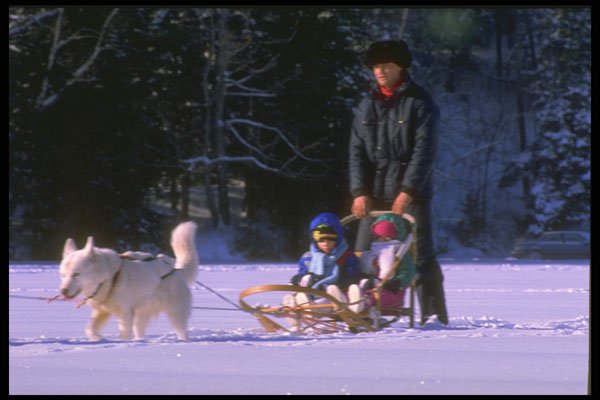 310019 Dog Sledding, Mont Ste Marie, Quebec A4 Photo Print