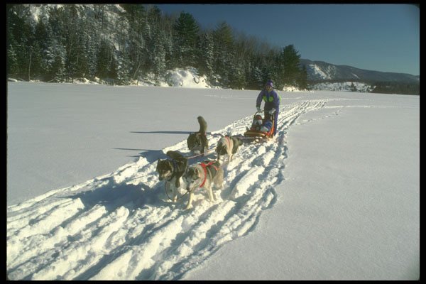 310020 Dog Sledding, Mont Ste Marie, Quebec A4 Photo Print